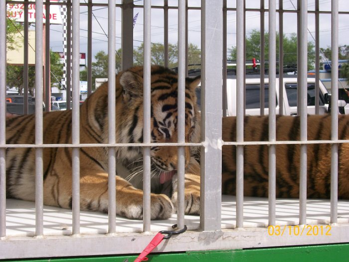 2012-Mar-10HGR4X4_4Wheelparts 019